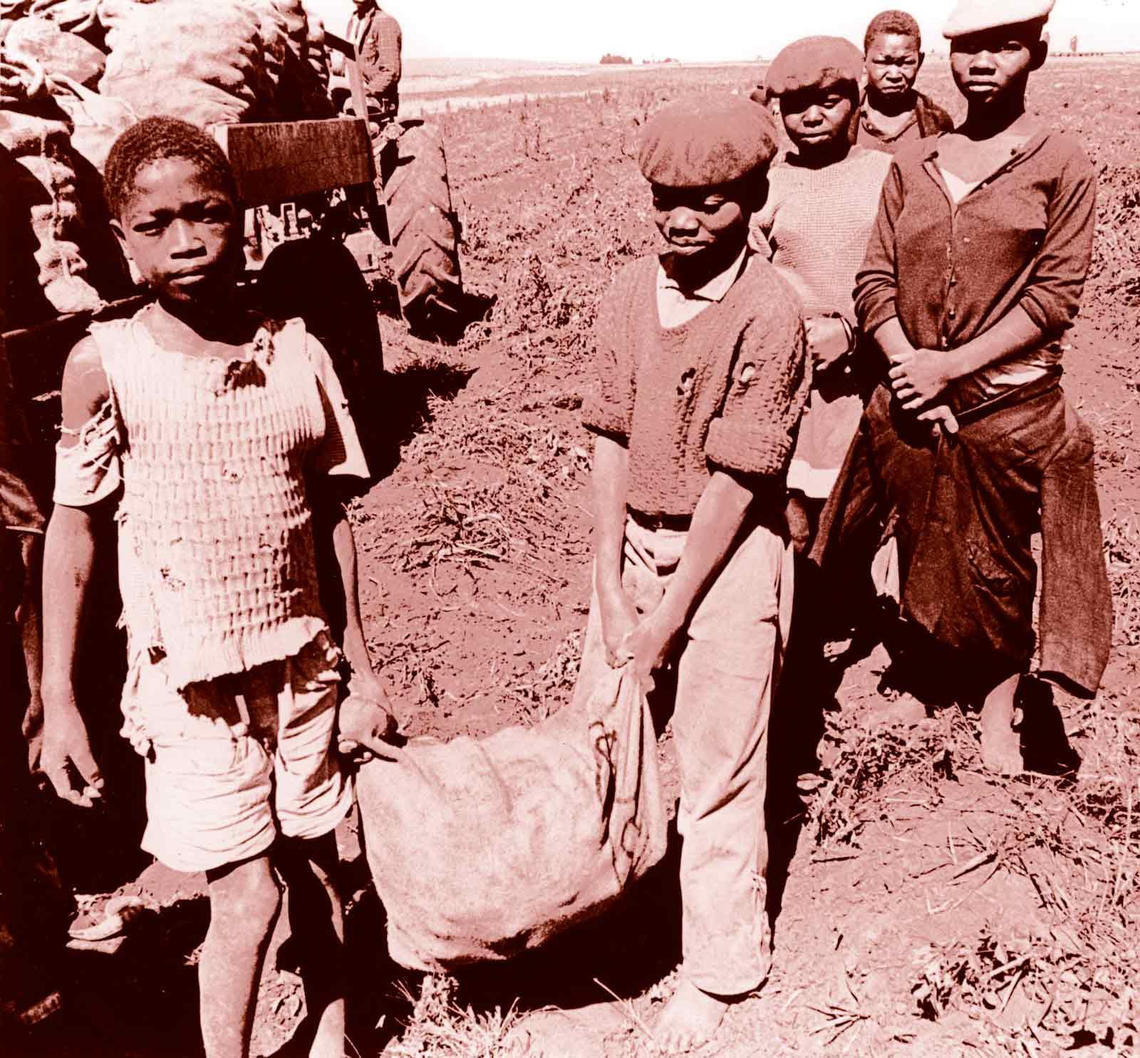 Child labourers in South Africa, 1970s