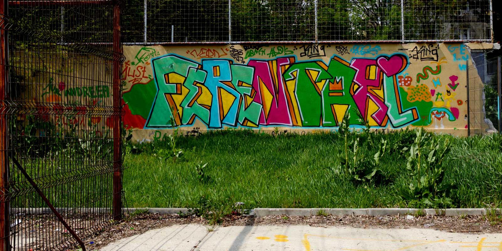 Graffitti on wall: Ferentari