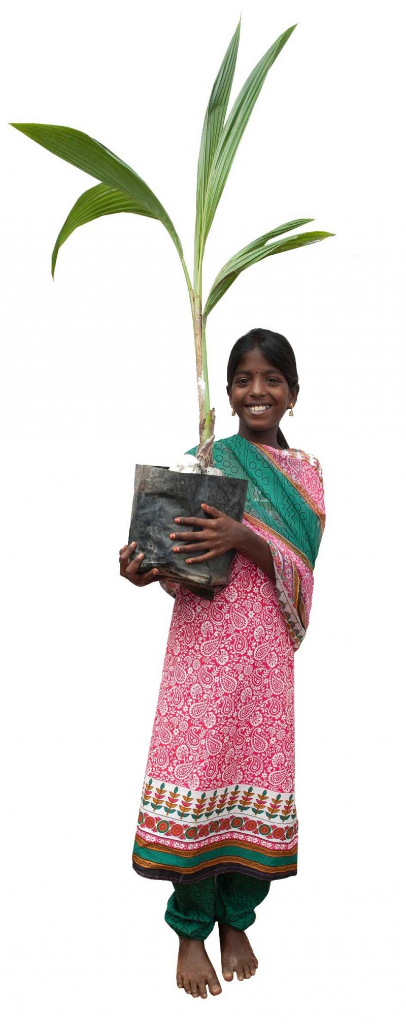 Girl holding coconut plant