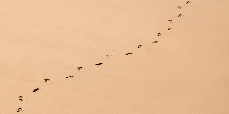 Footprints in sand.