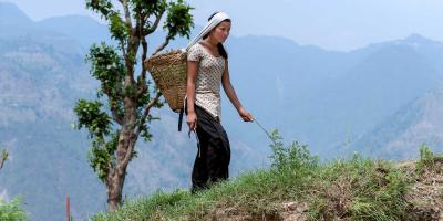 Kalpana walking on mountain