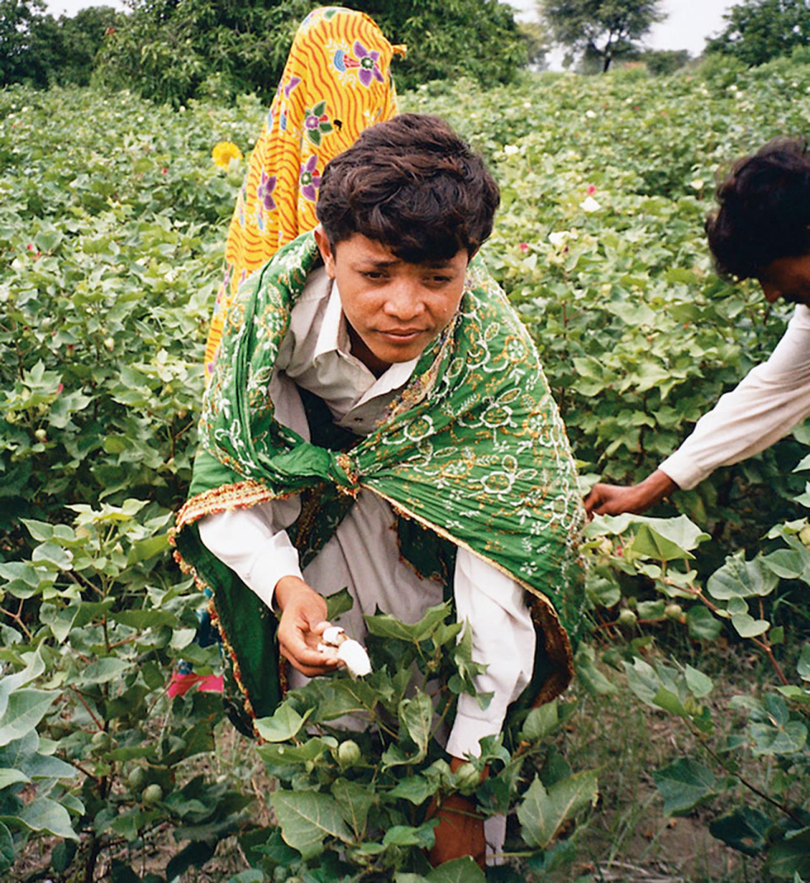 Manga Ram working in the fields as a child.