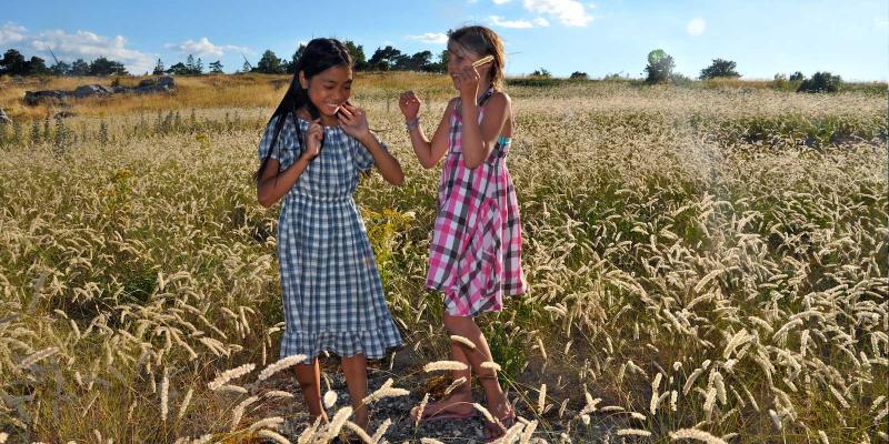 Girls studying at home
