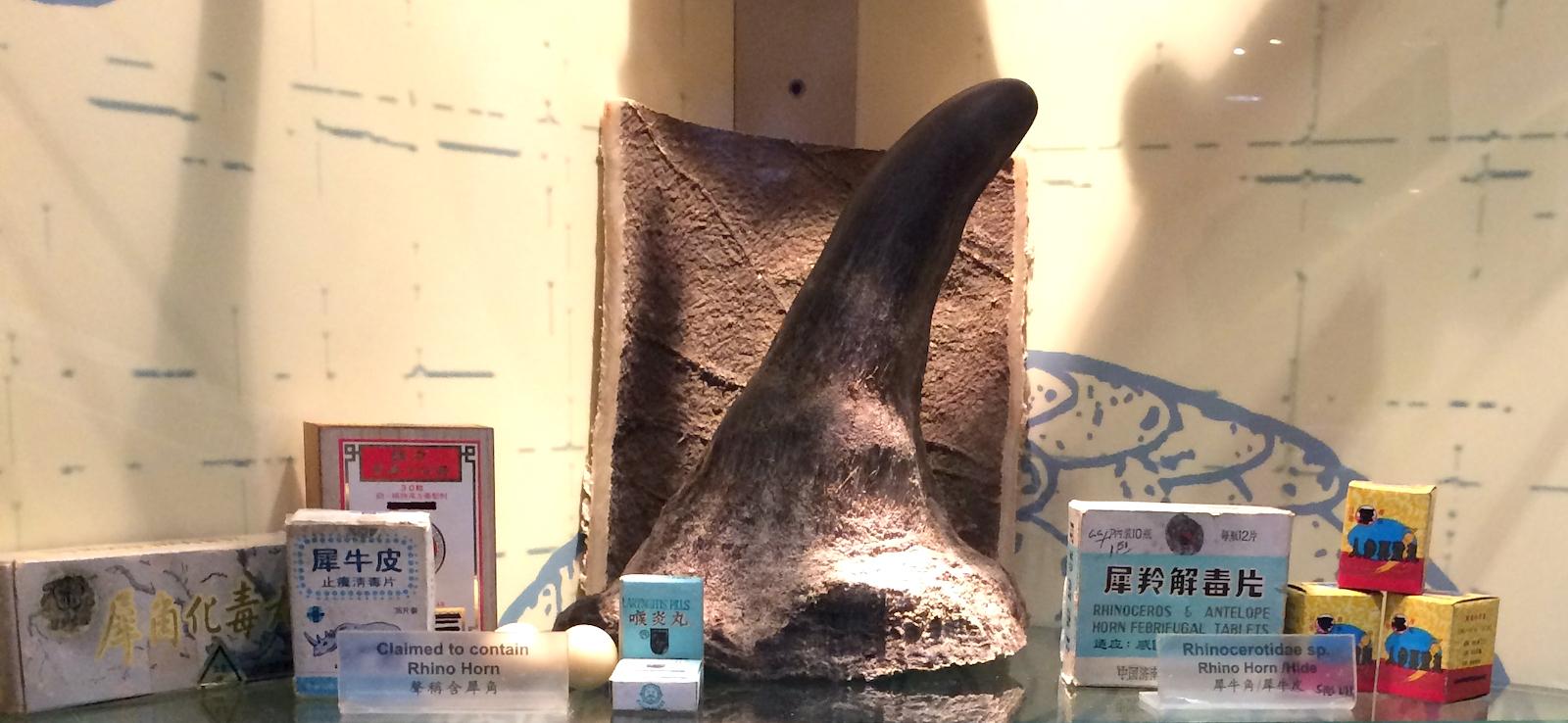 Products that claim to contain rhino horn